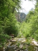 PICTURES/Sedona  West Fork Trail/t_Up The Creek1.JPG